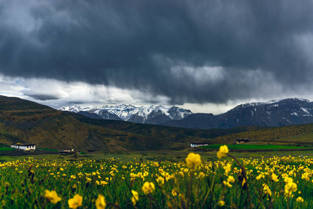 Best Time to Visit Valley of Flowers